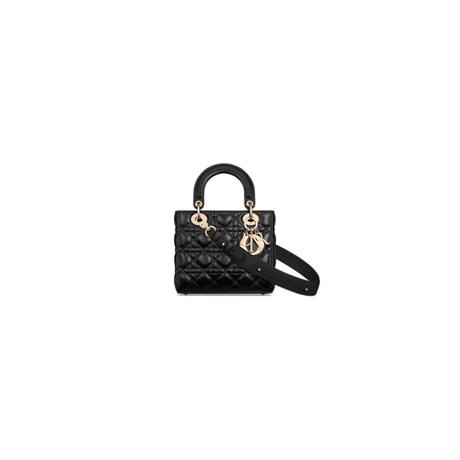 small lady D*or my abcD*or bag